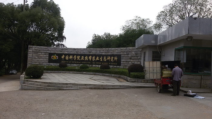 凤凰联盟