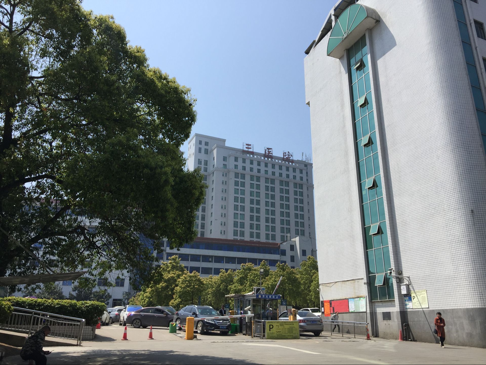 凤凰联盟